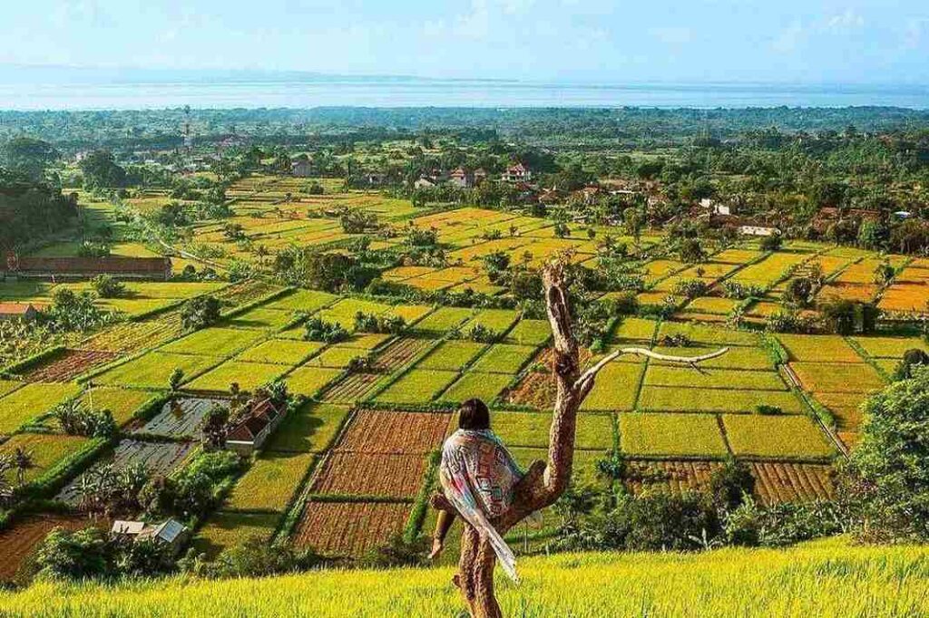 Seorang wisatawan yang sedang menimati keindahan Bukit Belong, Klungkung. Liburan ke Bali akan lengkap jika kamu mengunjungi destinasi satu ini.