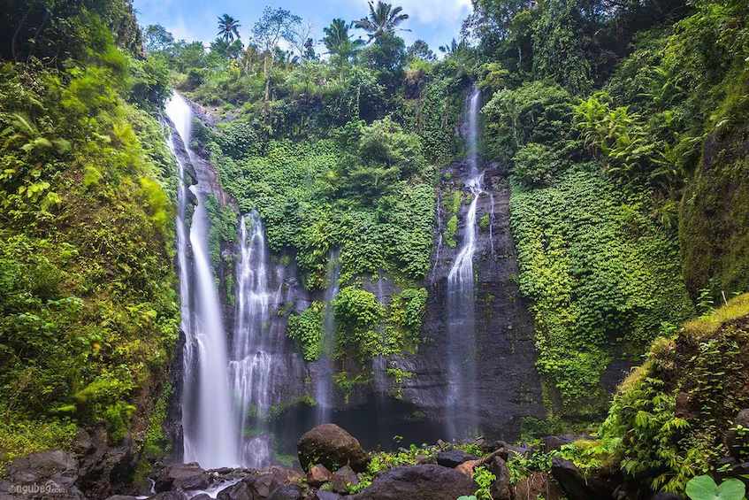 Jelajah Air Terjun di Bali: Destinasi Hidden Gem untuk Pecinta Alam
